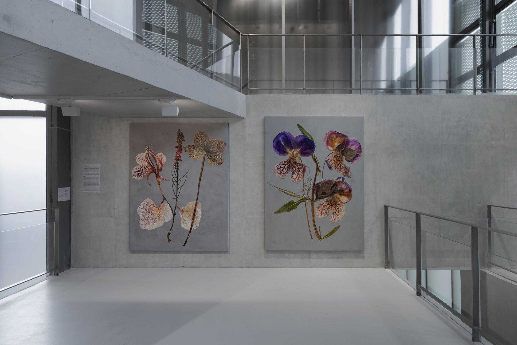 Wang Yuyang: Painting