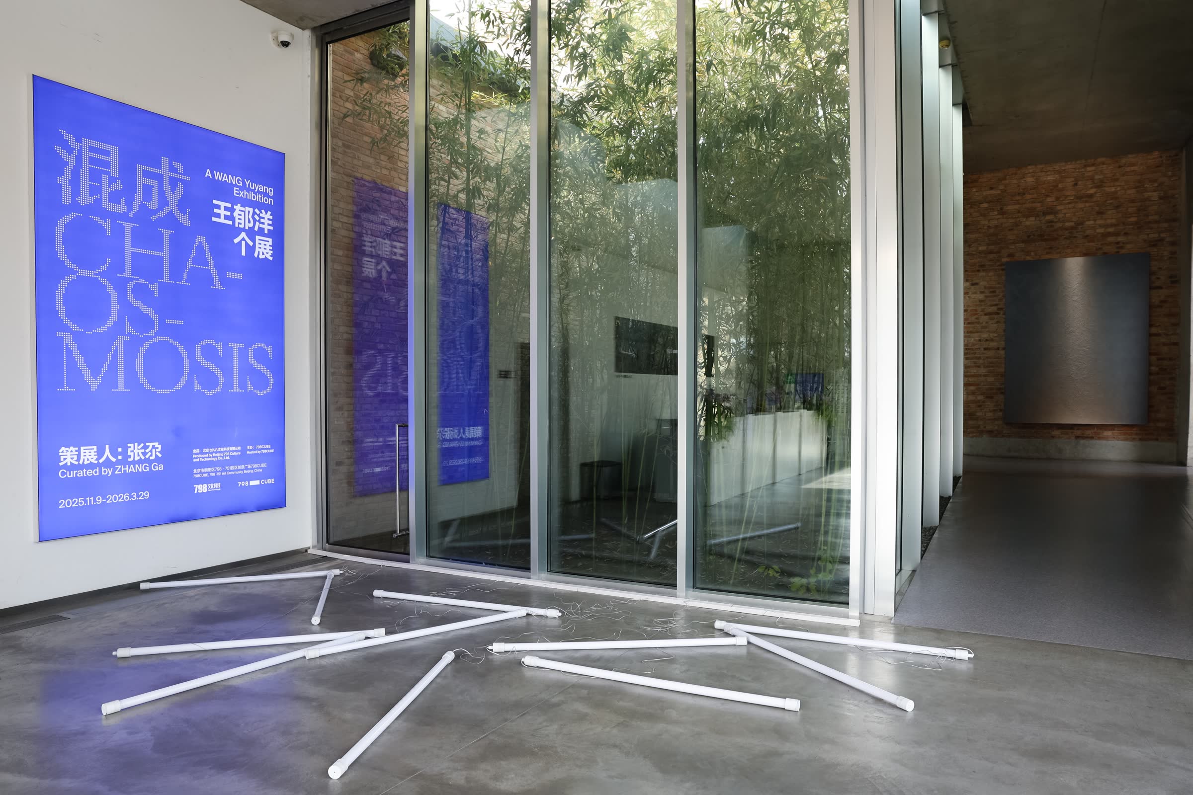 Chaosmosis: A WANG Yuyang Exhibition