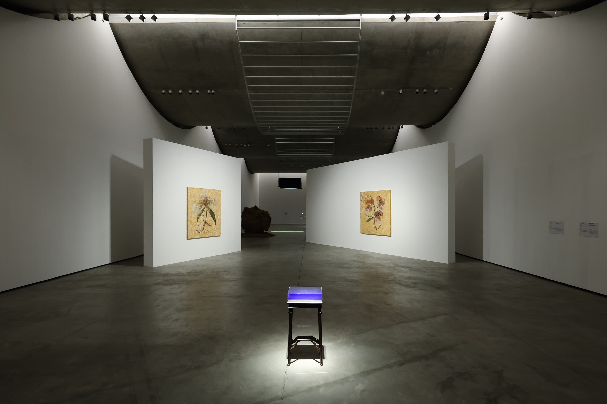 Chaosmosis: A WANG Yuyang Exhibition