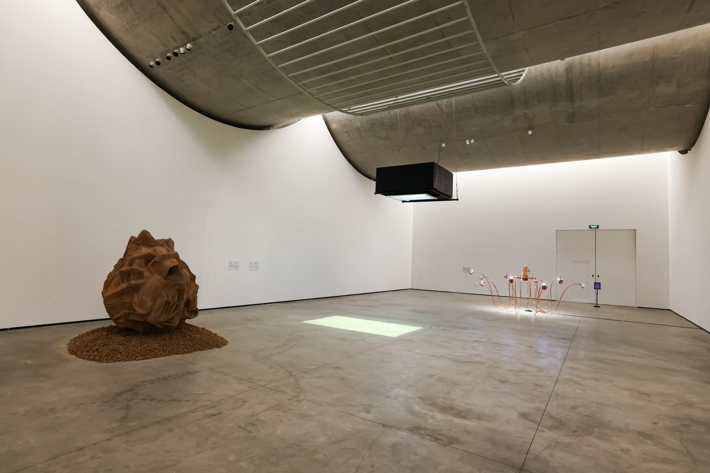 Chaosmosis: A WANG Yuyang Exhibition