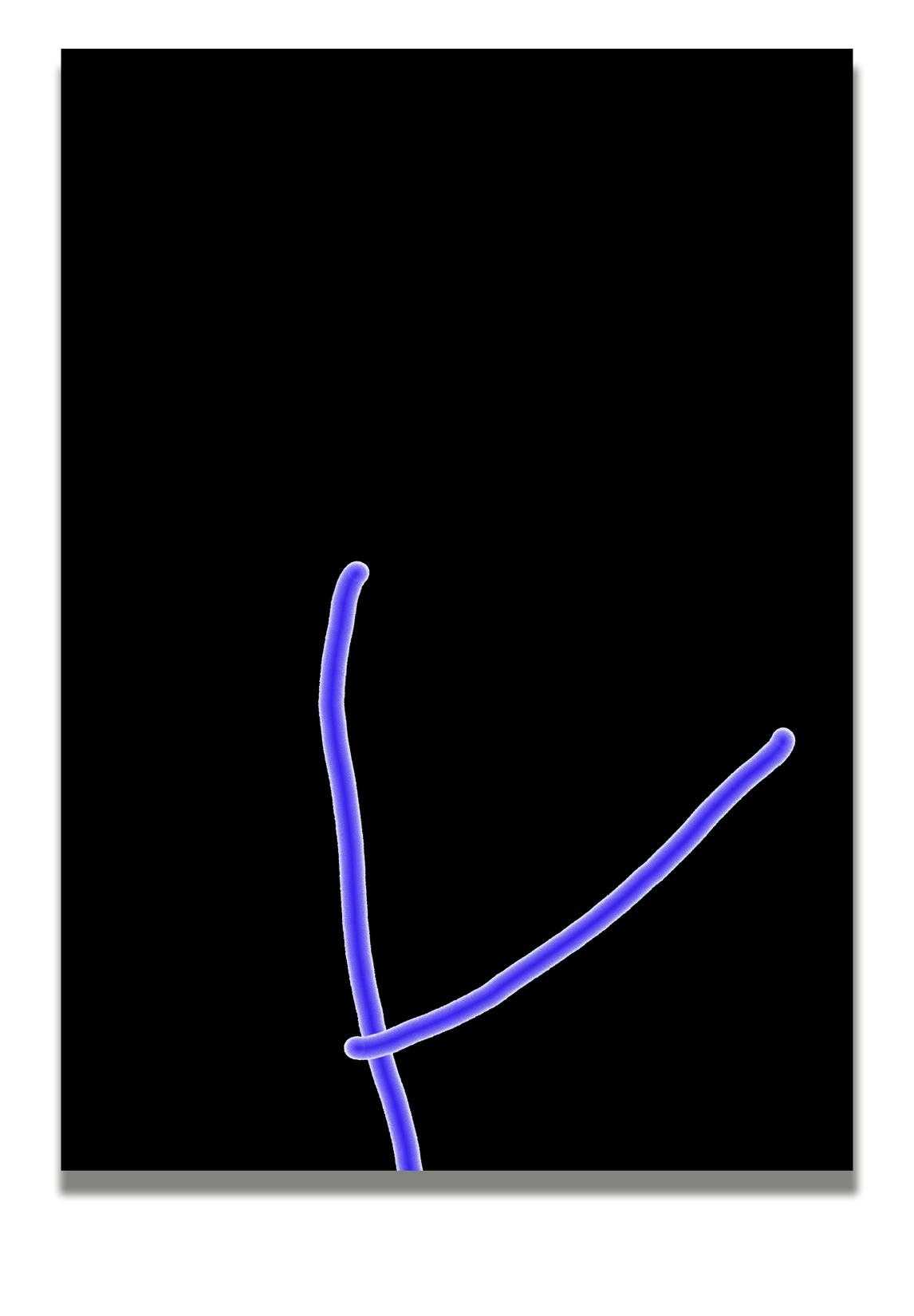 Propagation
