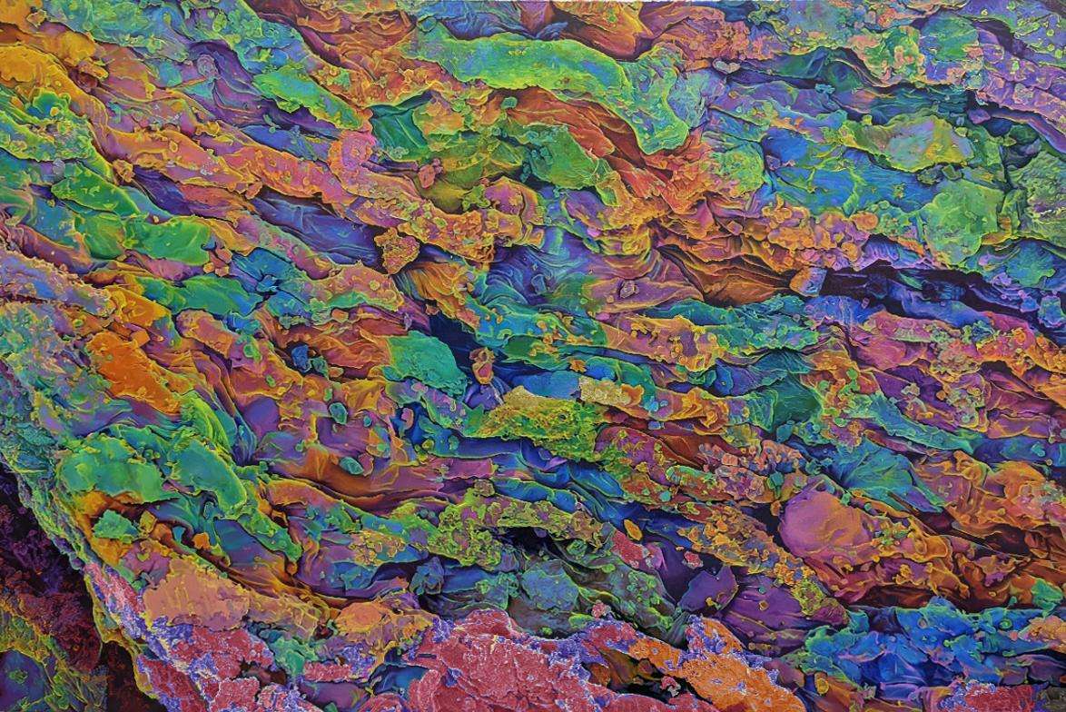 THE MOON Series / The Microcosm Series