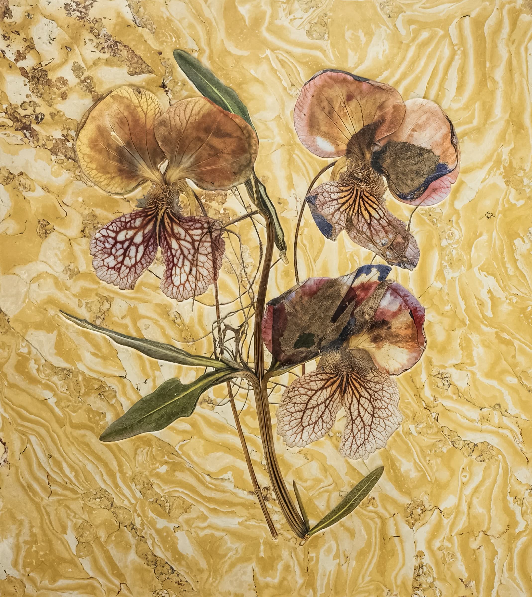Plant series