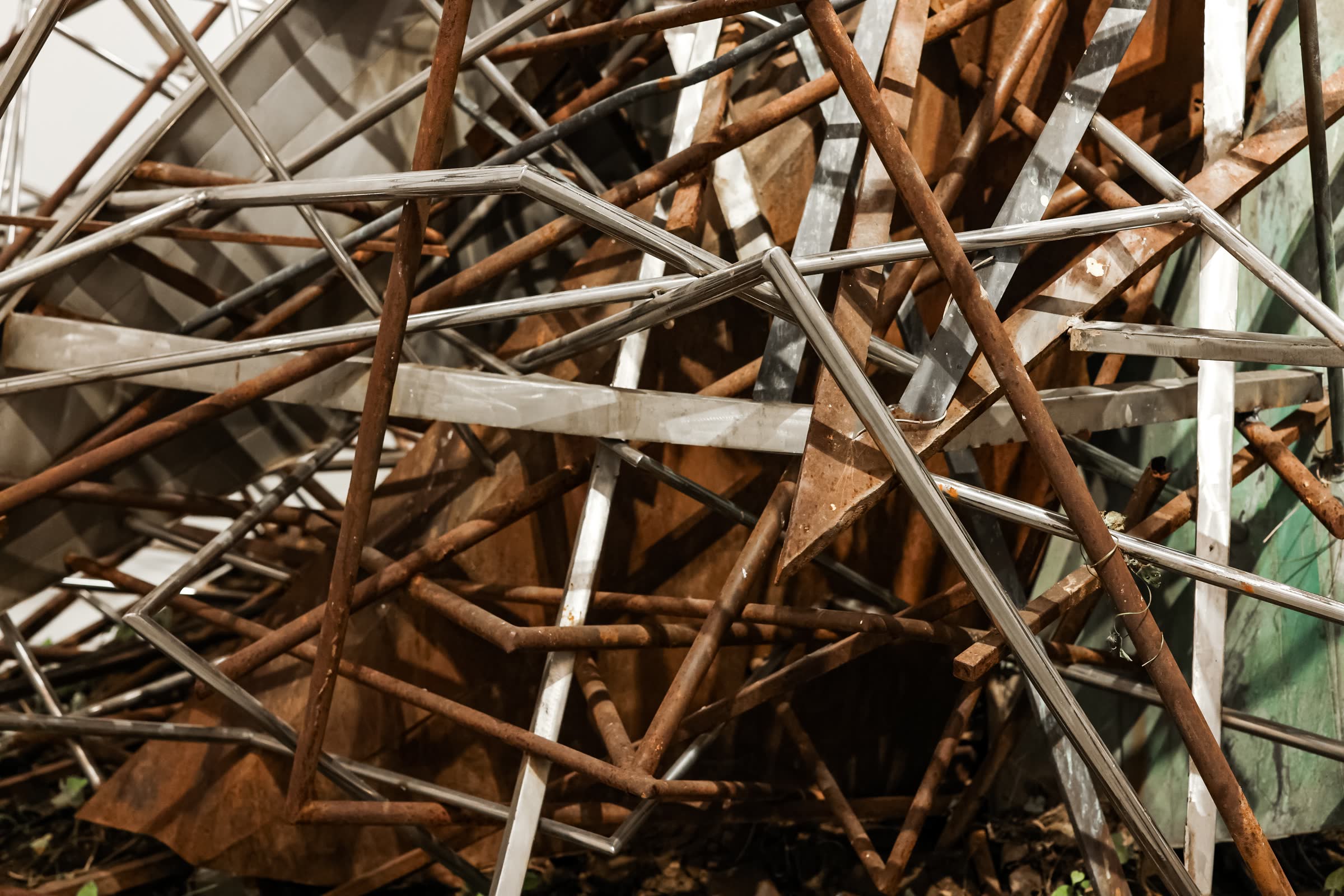 The Dubious of Entanglement by Plants